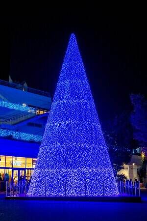 テラスモール湘南のイルミネーション、“湘南の海景色着想”毎日色が変わる巨大ツリー｜写真2