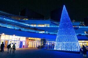 テラスモール湘南のイルミネーション、“湘南の海景色着想”毎日色が変わる巨大ツリー｜写真13