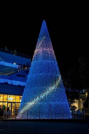 テラスモール湘南のイルミネーション、“湘南の海景色着想”毎日色が変わる巨大ツリー｜写真1