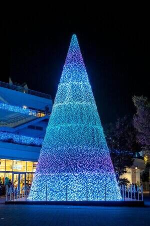 テラスモール湘南のイルミネーション、“湘南の海景色着想”毎日色が変わる巨大ツリー｜写真11