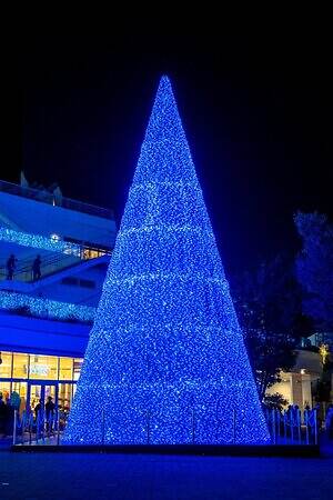 テラスモール湘南のイルミネーション、“湘南の海景色着想”毎日色が変わる巨大ツリー｜写真4