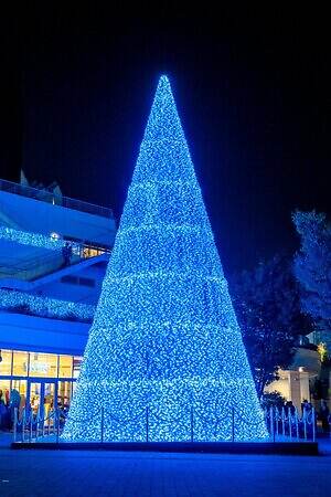 テラスモール湘南のイルミネーション、“湘南の海景色着想”毎日色が変わる巨大ツリー｜写真6