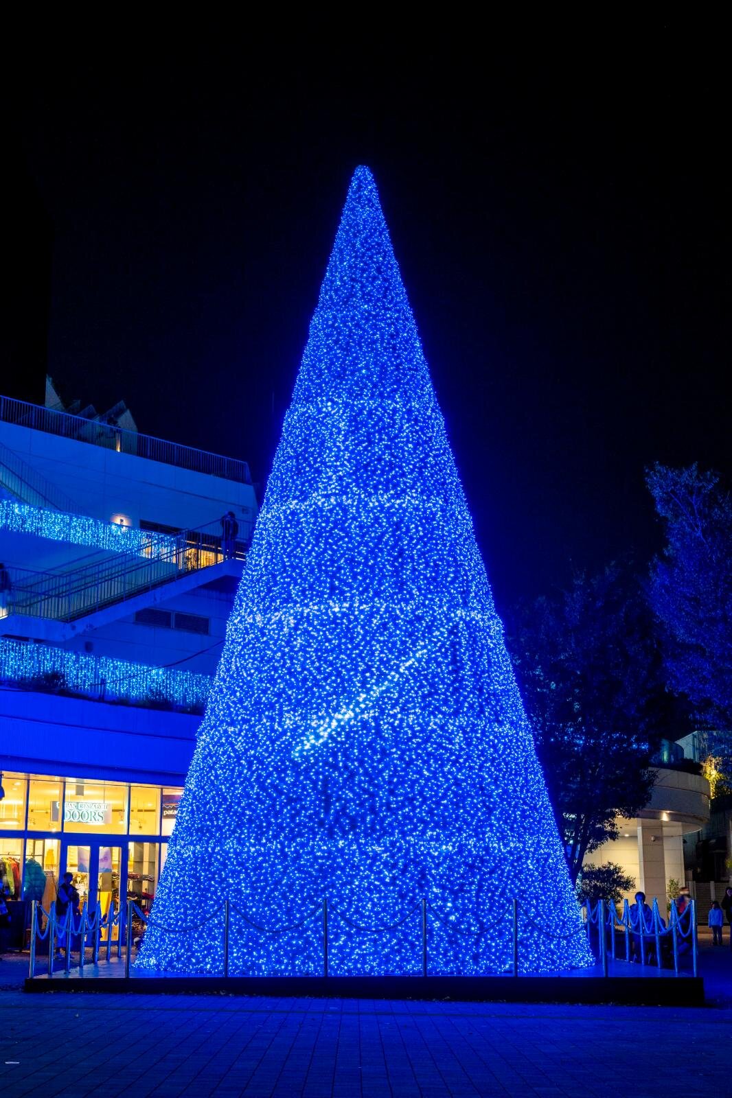 テラスモール湘南のイルミネーション、“湘南の海景色着想”毎日色が変わる巨大ツリー｜写真12