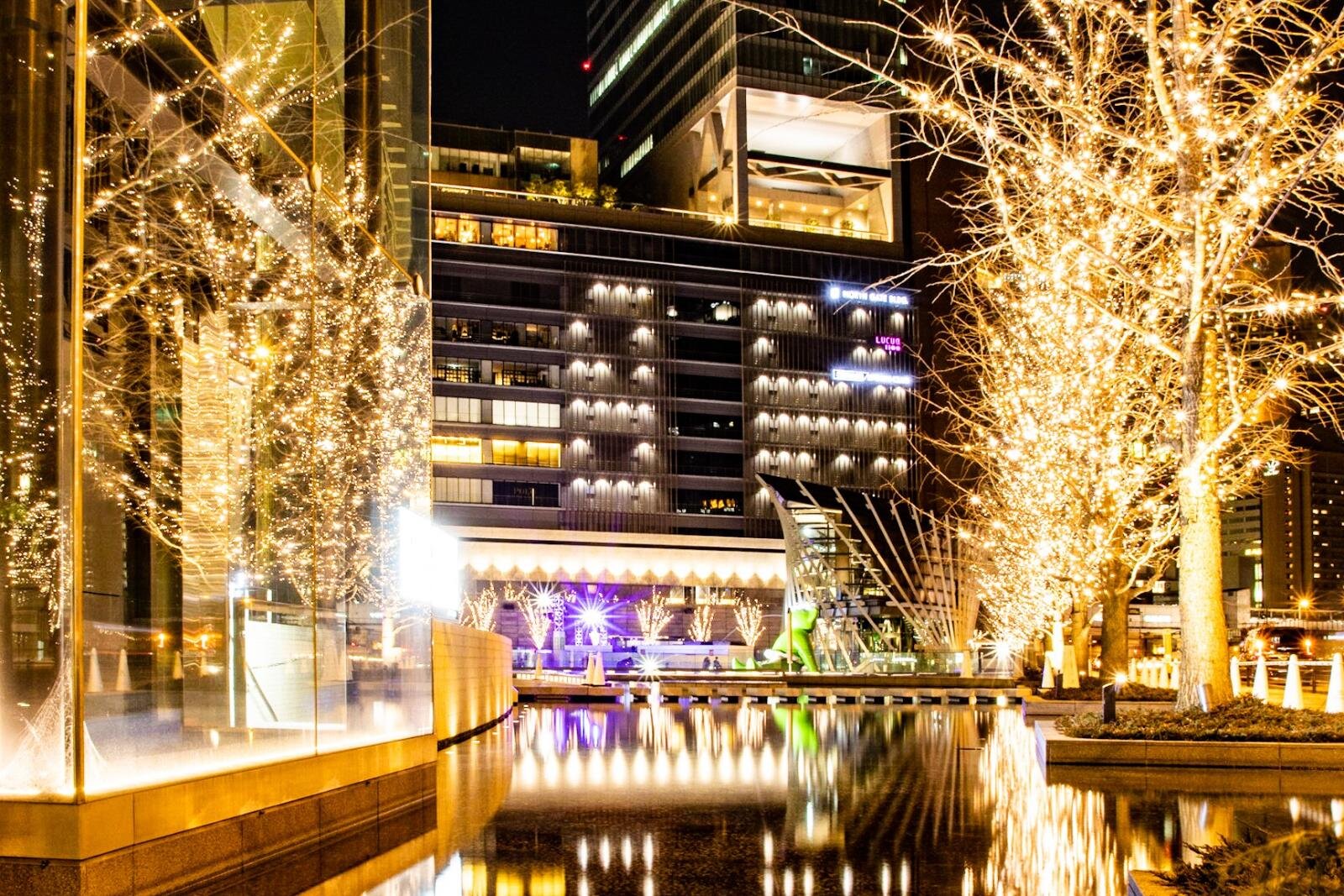 グランフロント大阪25年クリスマス、“オーロラ”煌めくガラスツリー＆音と光のライティングショー｜写真2