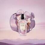 ロクシタン(L'OCCITANE) アート オブ セント｜写真13