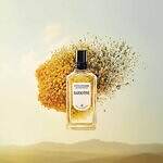 ロクシタン(L'OCCITANE) アート オブ セント｜写真16