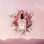 ロクシタン(L'OCCITANE) アート オブ セント｜写真4