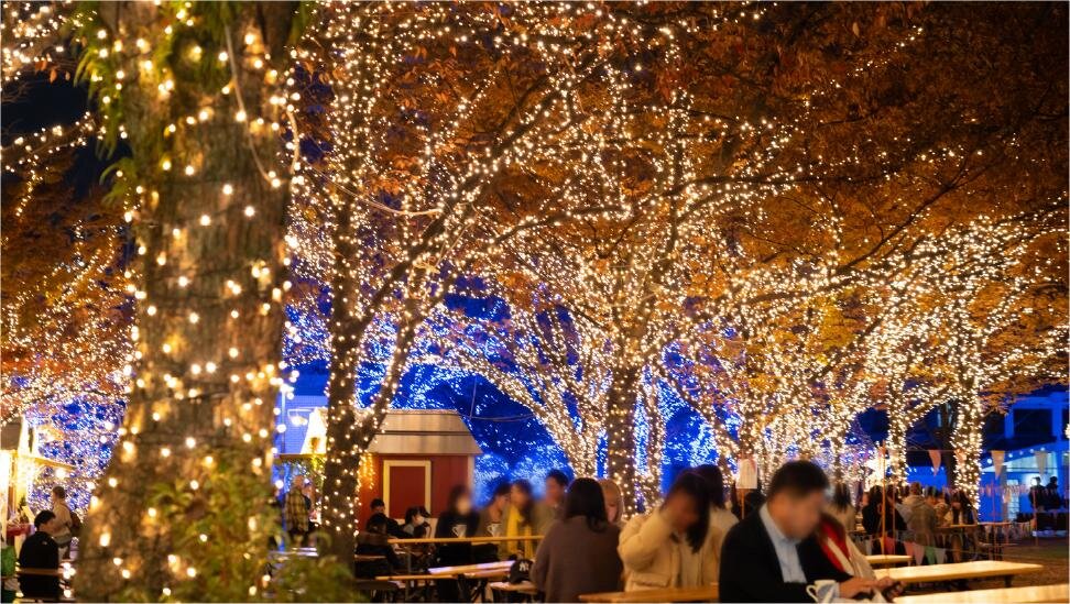 光のフォレスト 県営天神中央公園