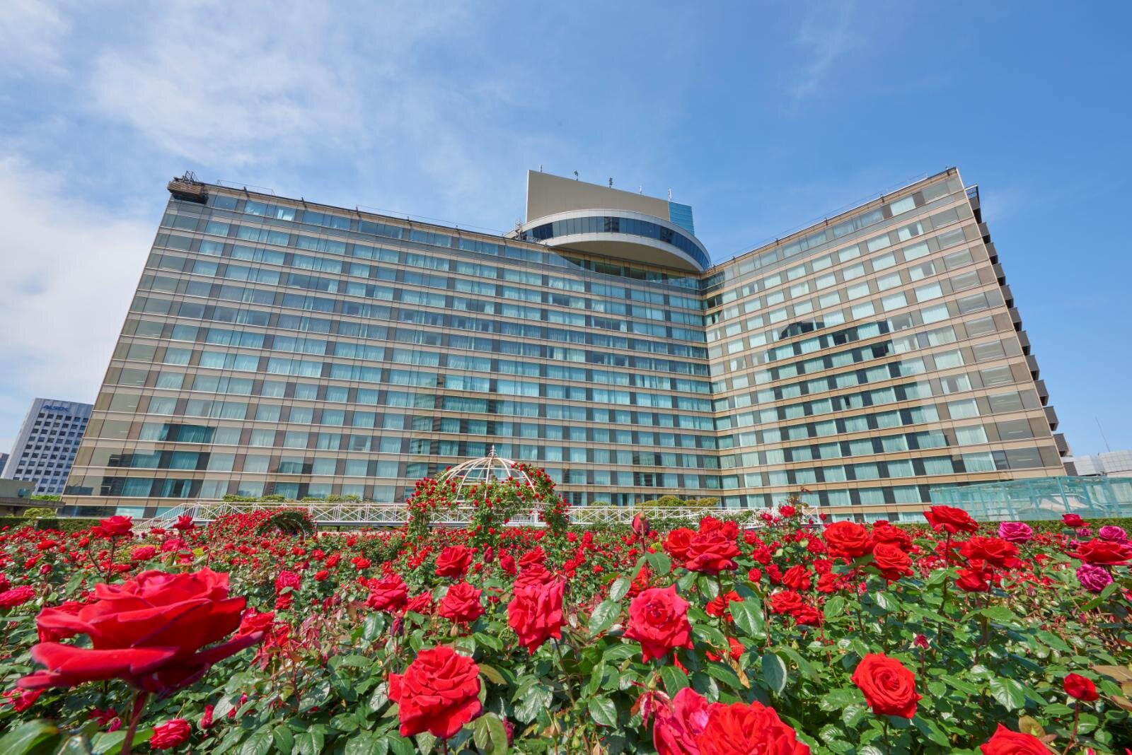 ホテルニューオータニ(東京)レッドローズガーデン、3万輪のバラ咲く"秘密の花園"でアフタヌーンティー｜写真2