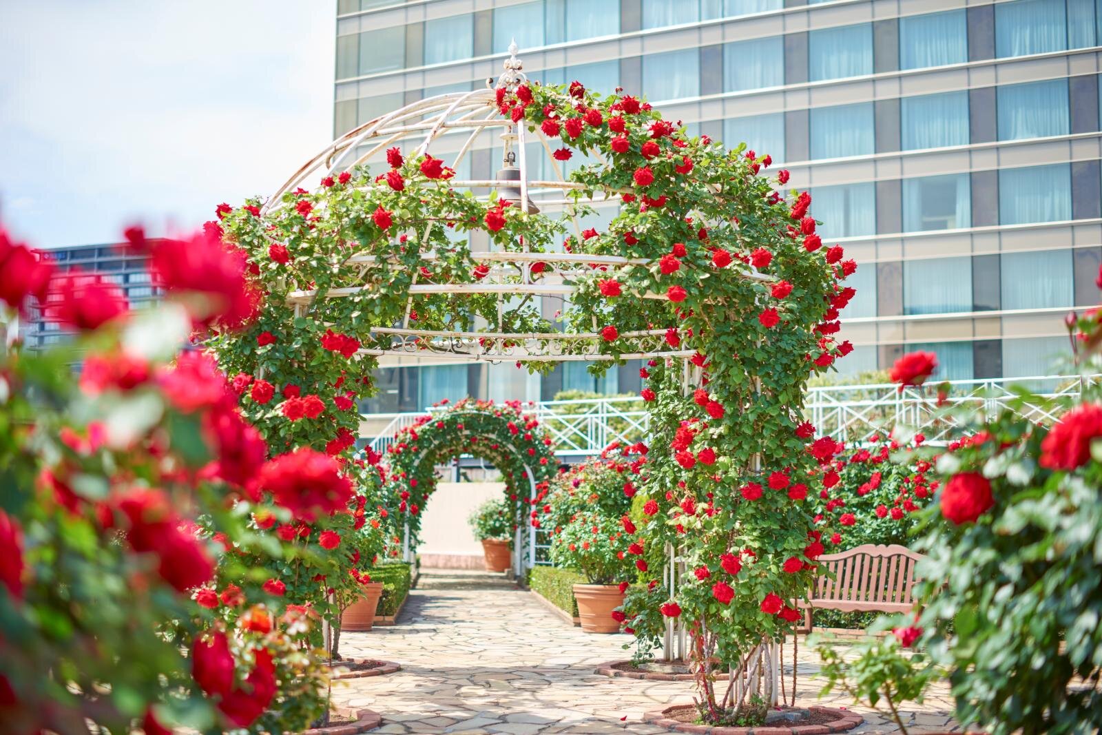 ホテルのアフタヌーンティー｜ホテルニューオータニ(東京)レッドローズガーデン、3万輪のバラ咲く"秘密の花園"でアフタヌーンティー