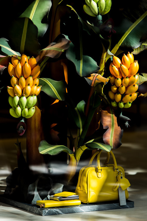 ロエベのXmasはトロピカル！旗艦店に“バナナツリー”、ギフトにぴったりの新作アイテムも展開中｜写真7