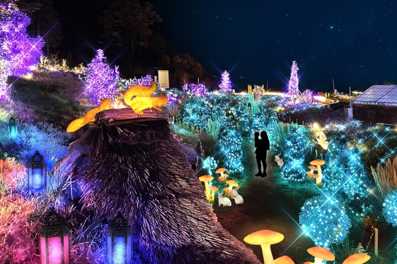“蝶と花”の関西最大級イルミネーション「ヒカリウム2025」滋賀・ローザンベリー多和⽥で｜写真1