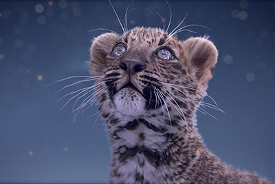 【動画】カルティエが贈るXmasのショートフィルム - パリ上空で戯れる2匹のパンテール