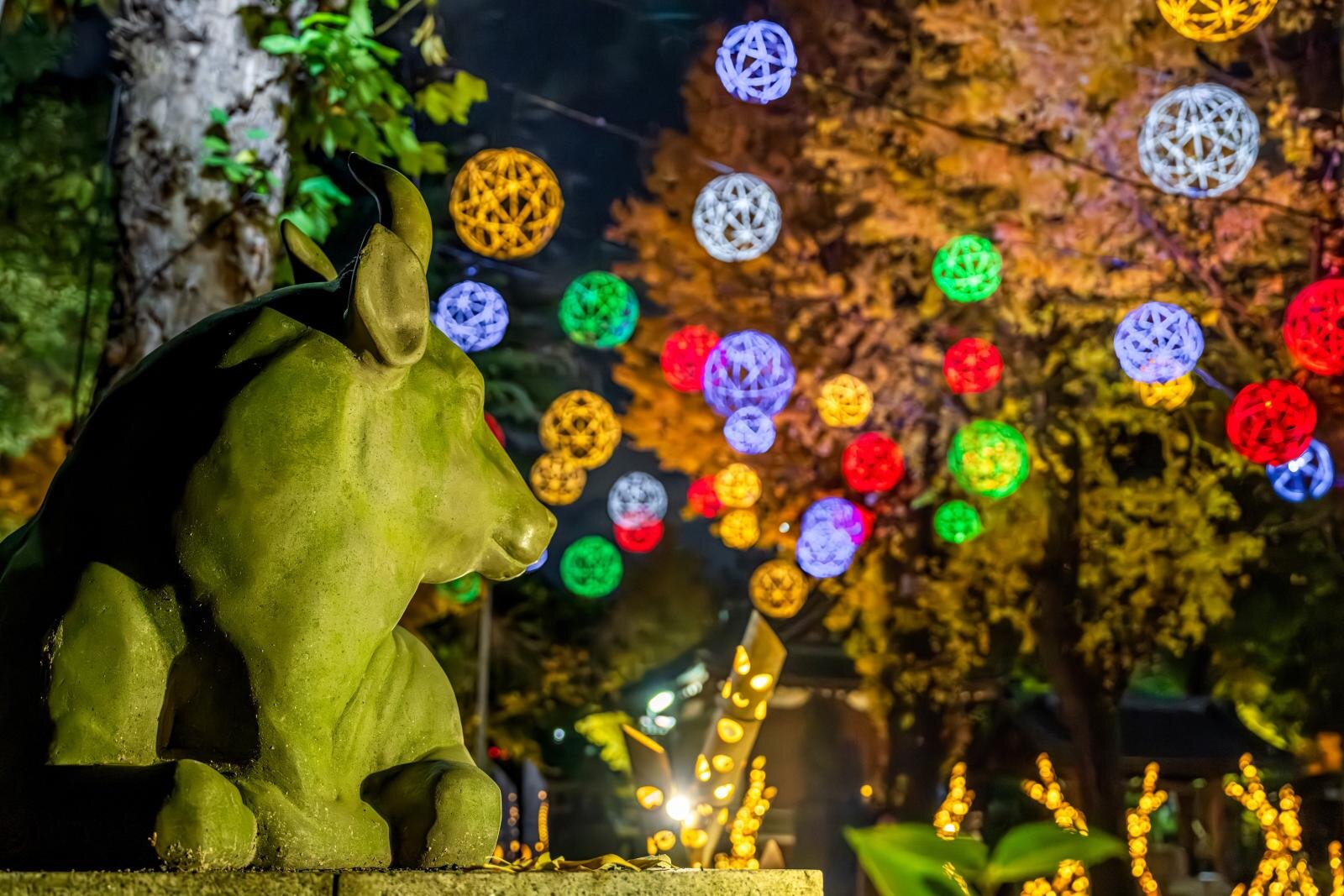 「竹あかり」ライトアップで幻想的な“光の道”が東京スカイツリータウン～浅草に、ナイトクルーズも｜写真4