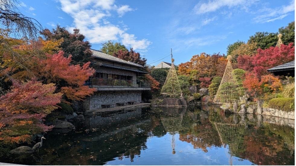 東京・目白庭園「秋の庭園ライトアップ」紅葉が水面を染める幻想的な"鏡映し"｜写真2