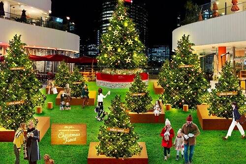 横浜ベイクォーター×ニコアンド"森"テーマのクリスマスイルミネーション、高さ8mの巨大ツリーも