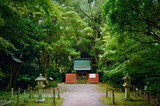 京都府立植物園のアートイベント「ライトサイクル京都」秋の紅葉ライトアップや光ファイバー演出｜写真5