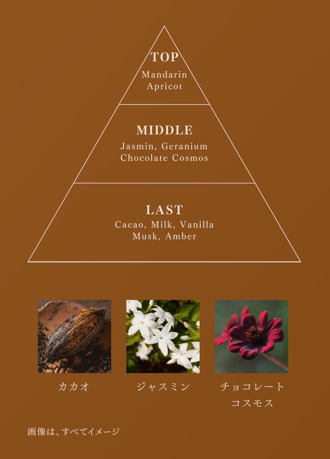 メルト(melt) カカオの香り｜写真7