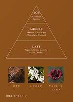 メルト人気の“甘くとろける” 「カカオの香り」がクリスマスに再び！ほろ苦カカオ×花々のシャンプーなど｜写真7