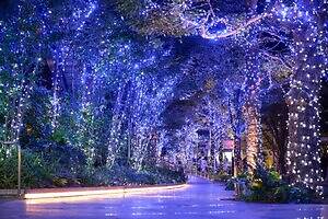 東京スカイツリータウンで本格クリスマスマーケット＆イルミネーション、ツリー風ライトアップも｜写真3