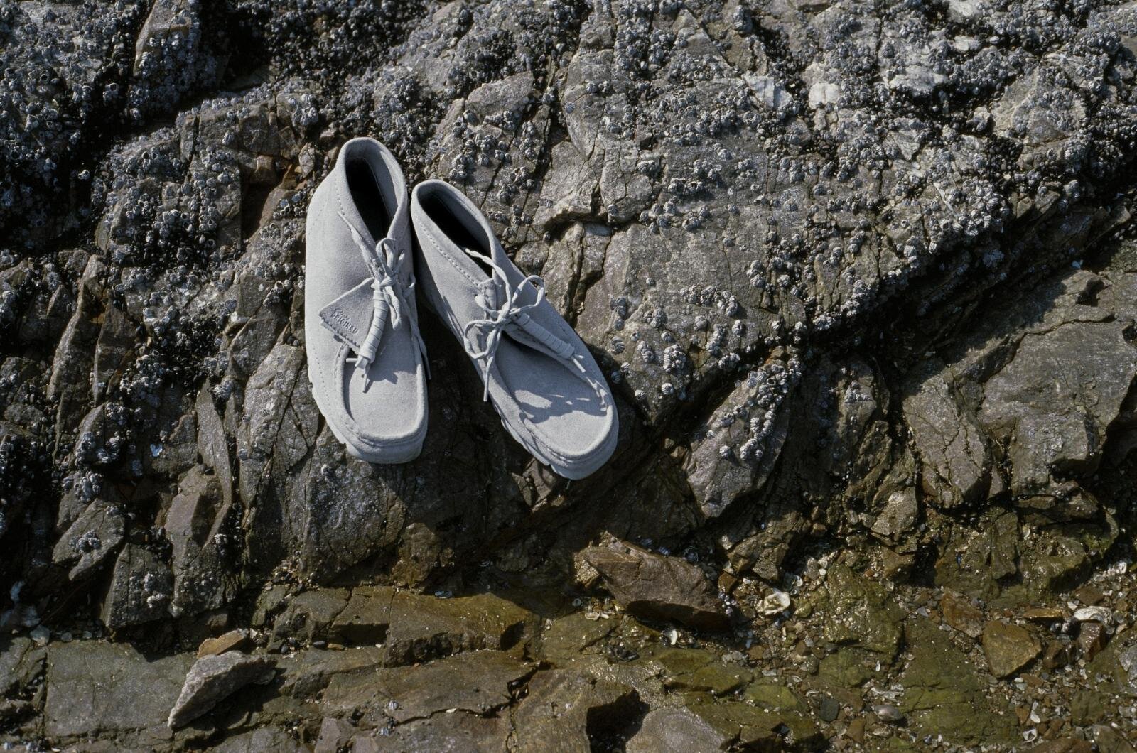 クラークス(Clarks), ポスト アーカイブ ファクション(POST ARCHIVE FACTION) ワラビー｜写真5