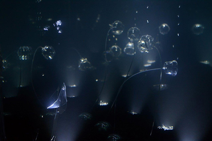 ファクトタム ギャラリーにて新進アーティスト三好賢聖の個展 - 幻想的な水中の植物 | 写真