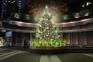 赤坂「アークヒルズ クリスマス 2025」、シュトーレンなどグルメ＆マルシェでキャンディブーツ作り