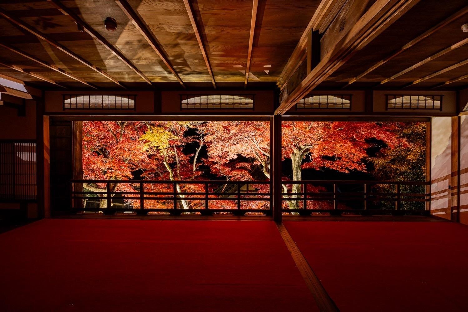 京都・柳谷観音楊谷寺の紅葉イベント、夜間ライトアップや限定“シマエナガ”御朱印帳も|写真1