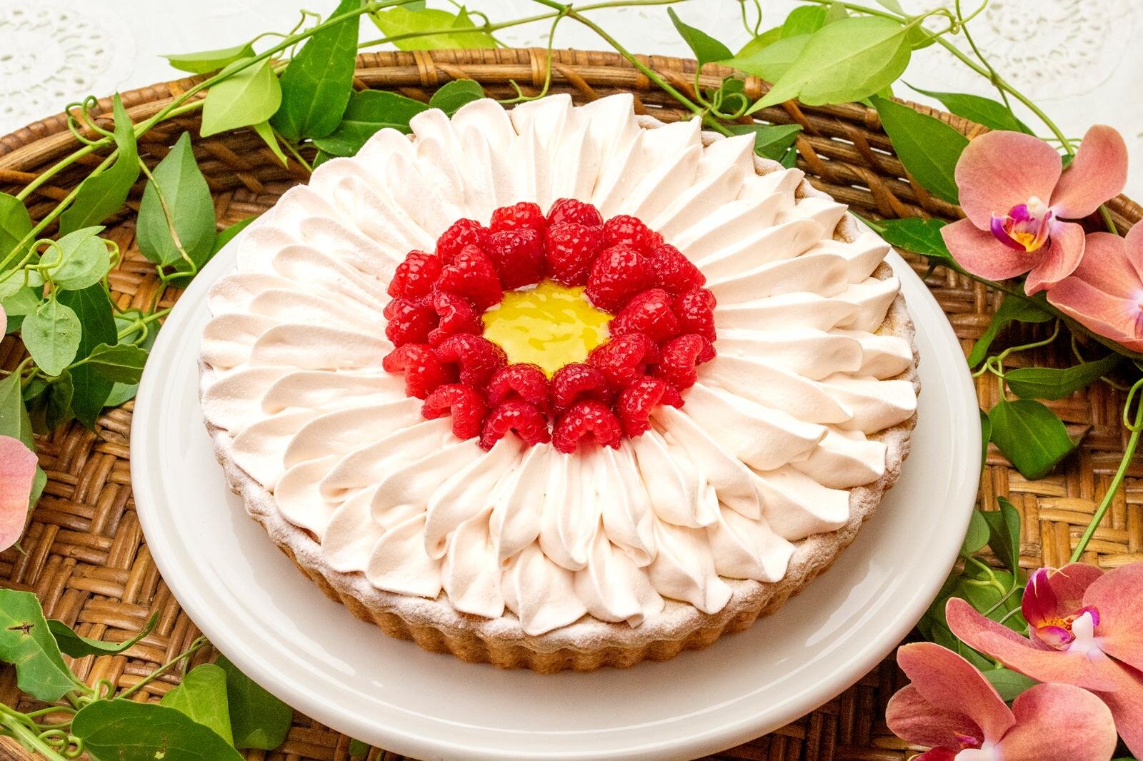 チョコレート｜キル フェ ボン「ガーベラの花」タルト、なめらかチョコクリーム×ブラッドオレンジ風味メレンゲ