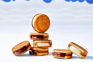 “冬しか味わえない”スイーツブランド「スノー」なめらか生チョコ入りクッキーや生トリュフチョコ