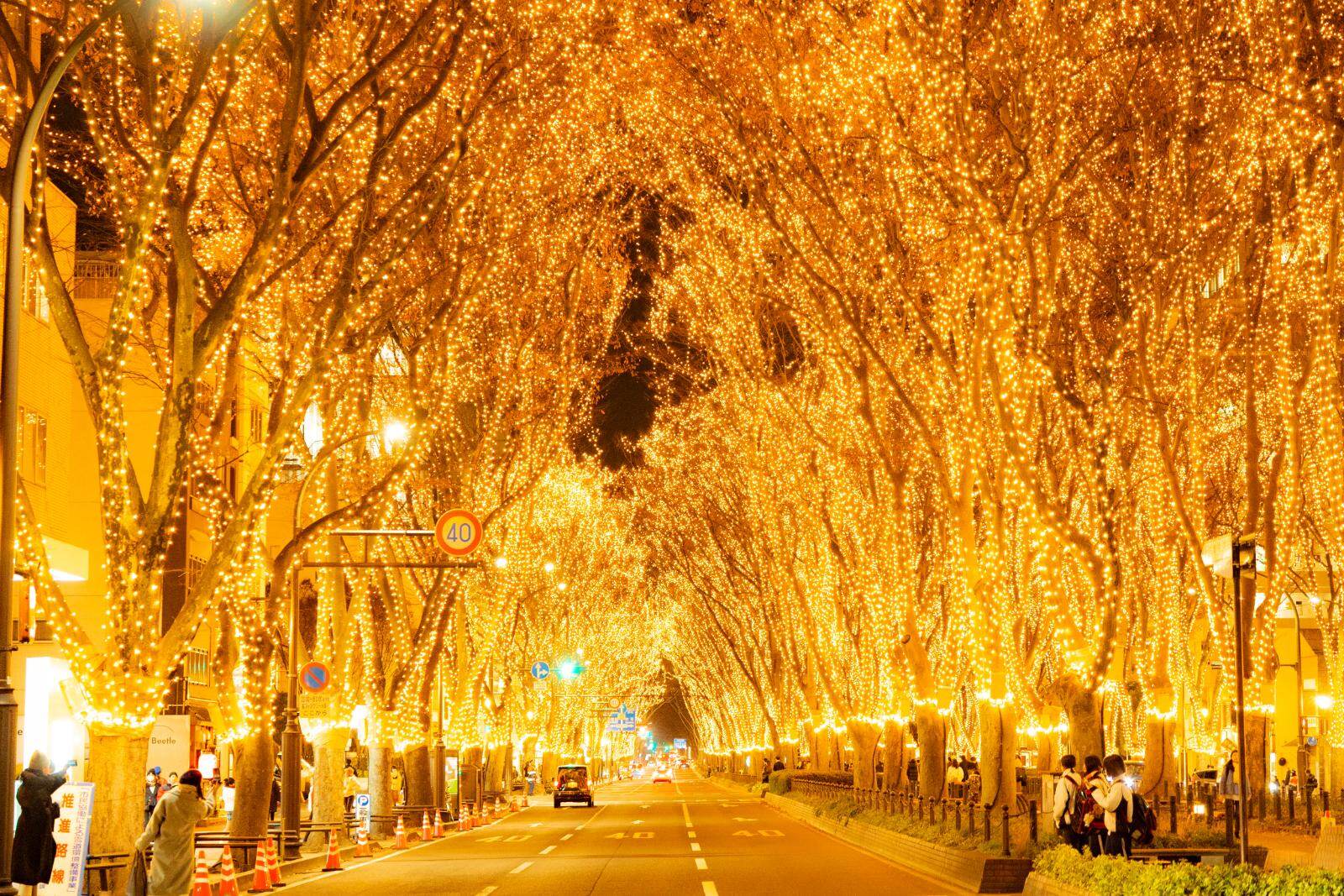 「2025SENDAI光のページェント」仙台・定禅寺通の冬イルミネーション、光輝くケヤキの並木道