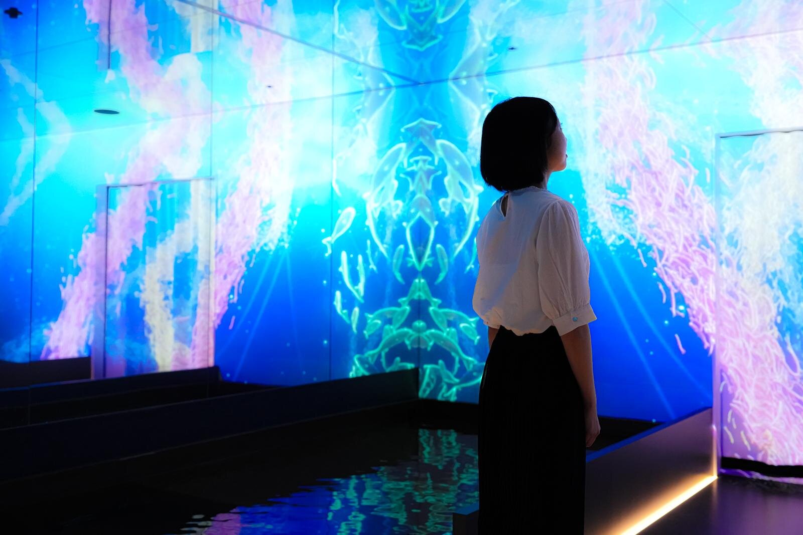 「広島もとまち水族館」空間演出による没入型アクアリウム、神秘のクラゲ水槽やチンアナゴスイーツ｜写真3