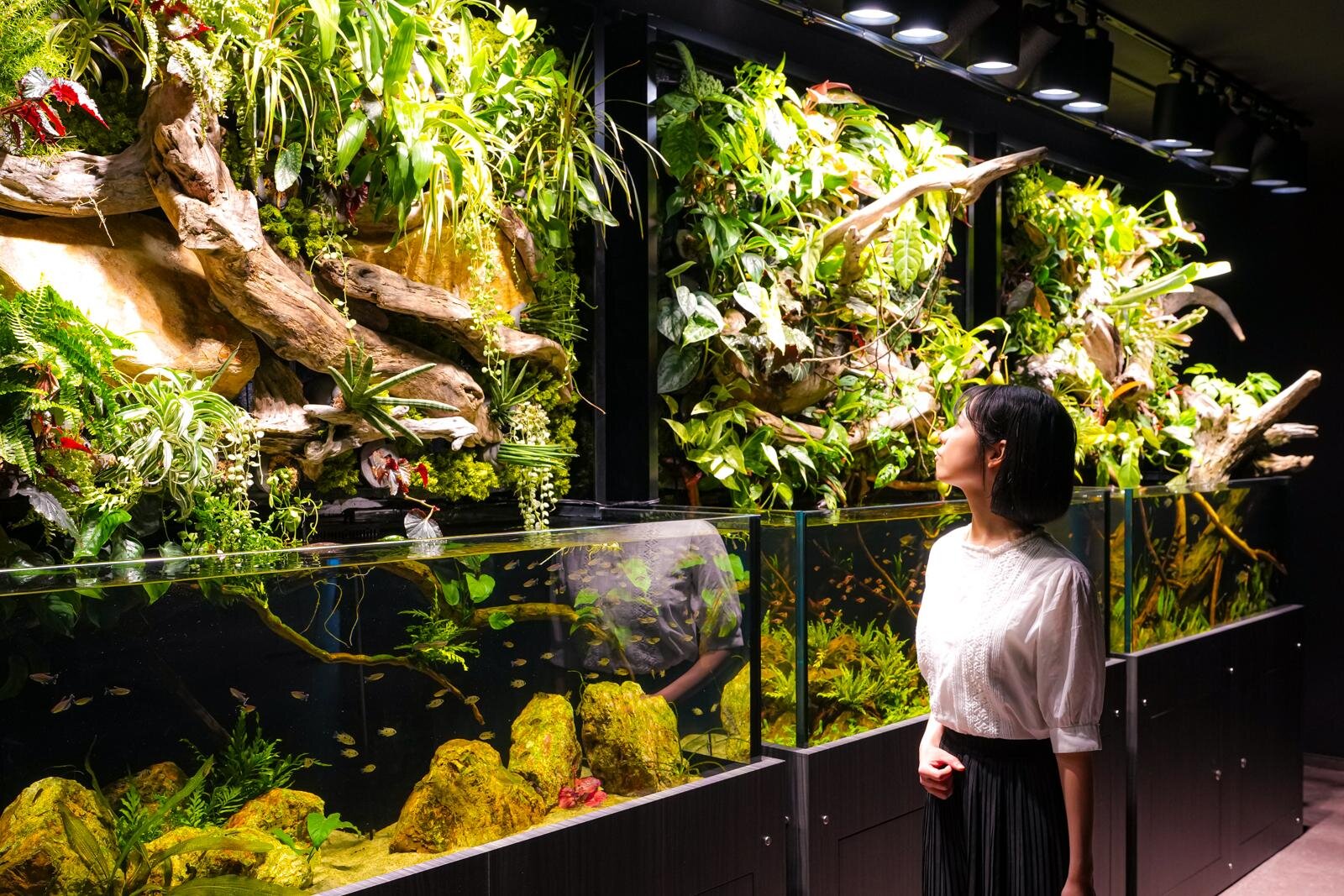 「広島もとまち水族館」空間演出による没入型アクアリウム、神秘のクラゲ水槽やチンアナゴスイーツ｜写真7