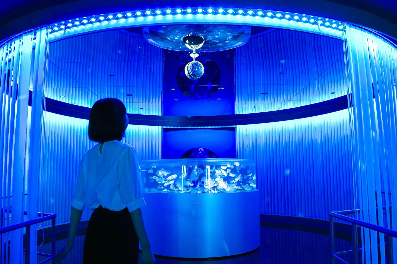 「広島もとまち水族館」空間演出による没入型アクアリウム、神秘のクラゲ水槽やチンアナゴスイーツ｜写真17