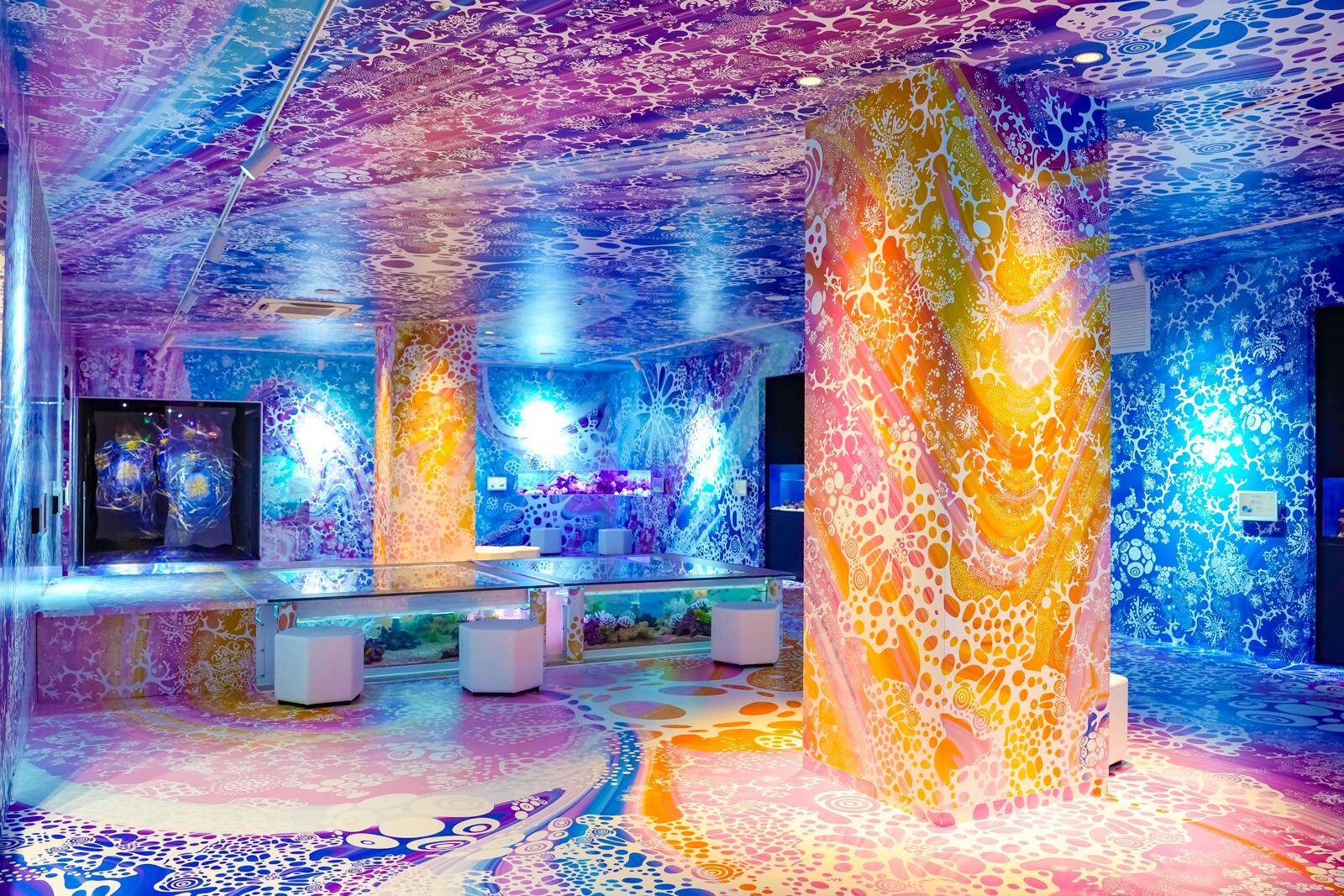 「広島もとまち水族館」空間演出による没入型アクアリウム、神秘のクラゲ水槽やチンアナゴスイーツ｜写真33