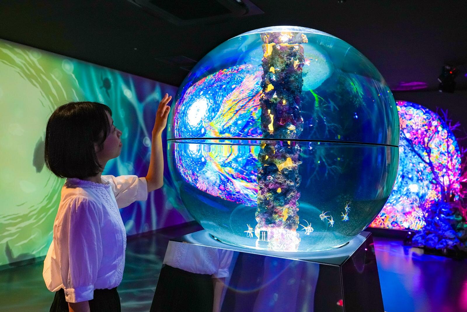 「広島もとまち水族館」空間演出による没入型アクアリウム、神秘のクラゲ水槽やチンアナゴスイーツ｜写真38