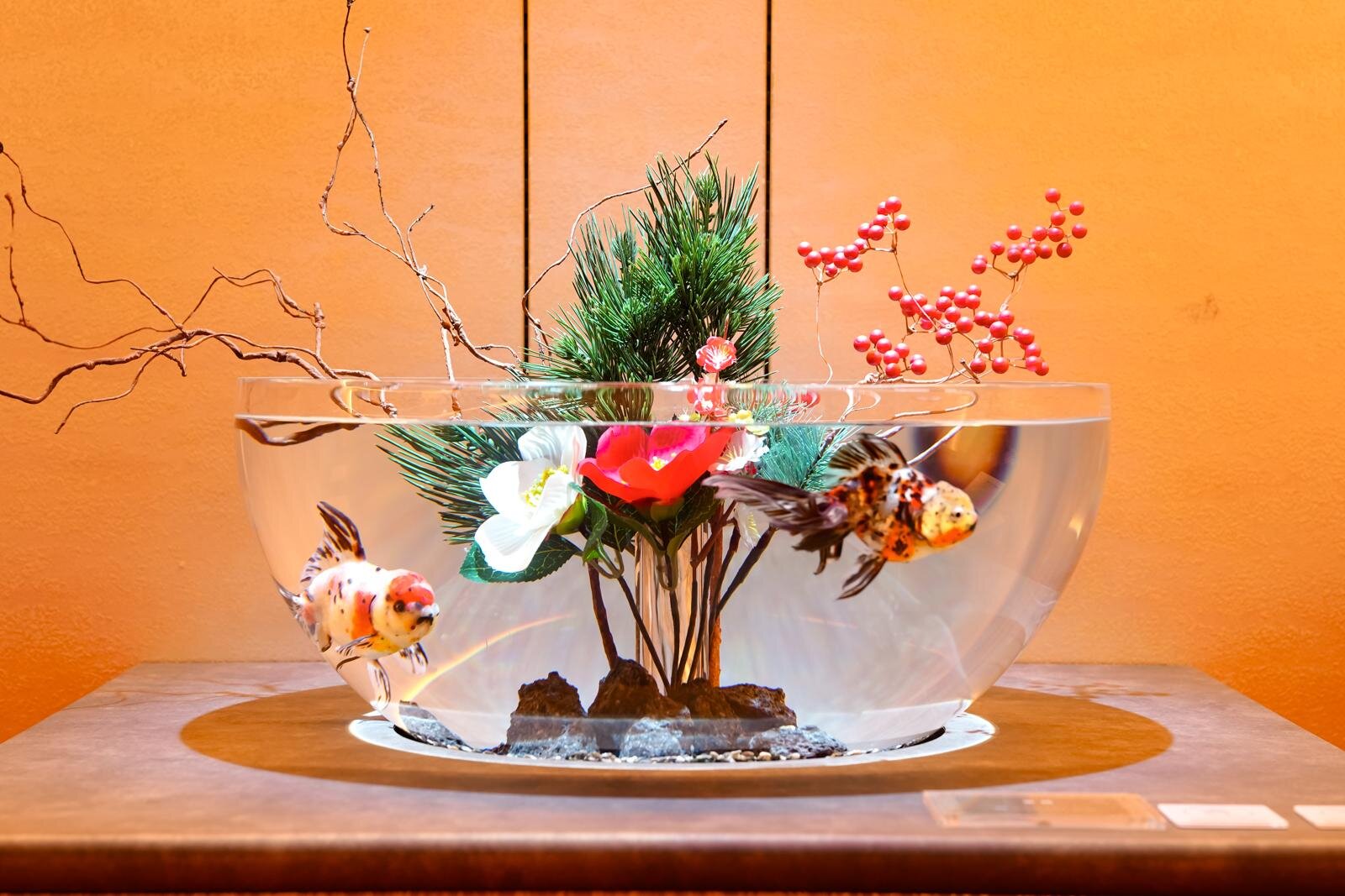 「広島もとまち水族館」空間演出による没入型アクアリウム、神秘のクラゲ水槽やチンアナゴスイーツ｜写真52