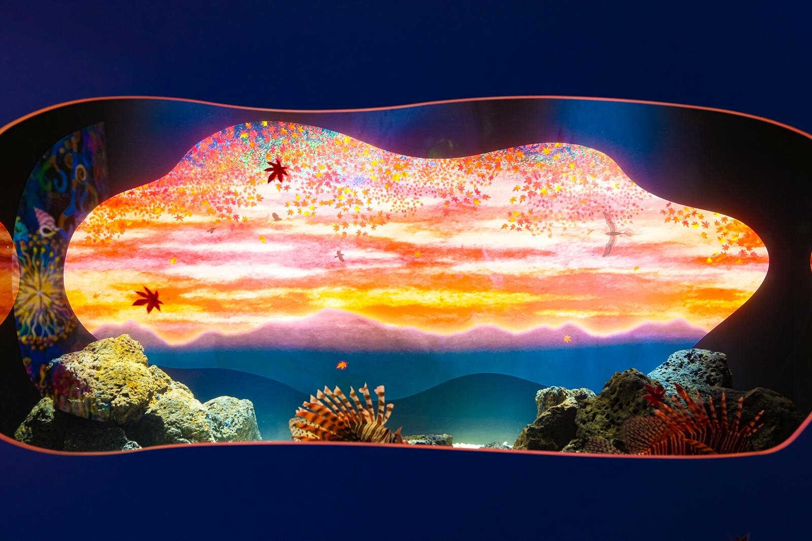 「広島もとまち水族館」空間演出による没入型アクアリウム、神秘のクラゲ水槽やチンアナゴスイーツ｜写真49