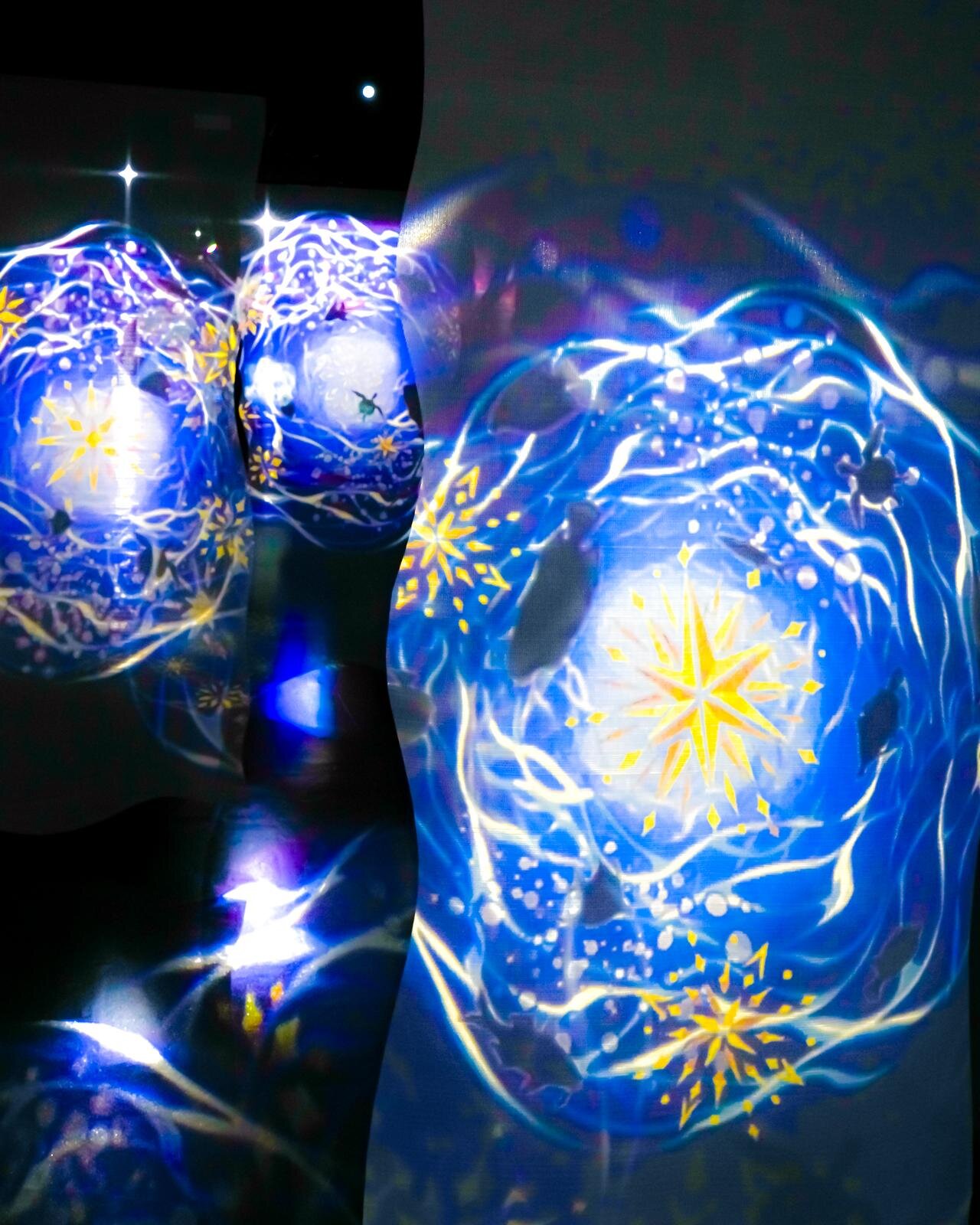 「広島もとまち水族館」空間演出による没入型アクアリウム、神秘のクラゲ水槽やチンアナゴスイーツ｜写真48