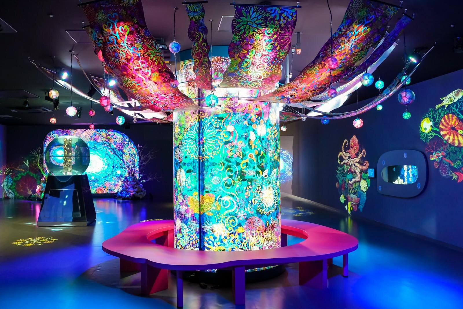 「広島もとまち水族館」空間演出による没入型アクアリウム、神秘のクラゲ水槽やチンアナゴスイーツ｜写真46