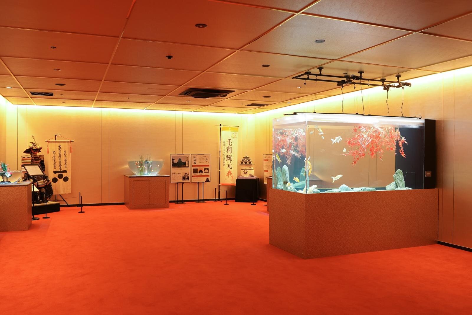 「広島もとまち水族館」空間演出による没入型アクアリウム、神秘のクラゲ水槽やチンアナゴスイーツ｜写真51