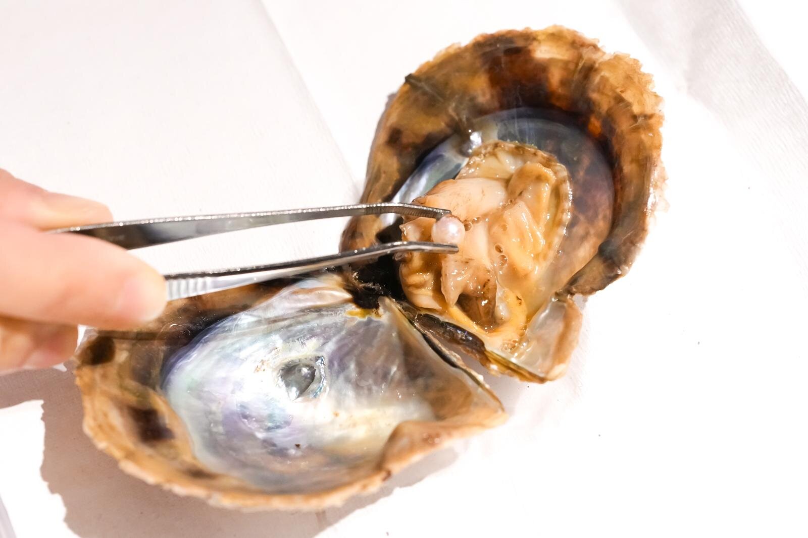 「広島もとまち水族館」空間演出による没入型アクアリウム、神秘のクラゲ水槽やチンアナゴスイーツ｜写真60