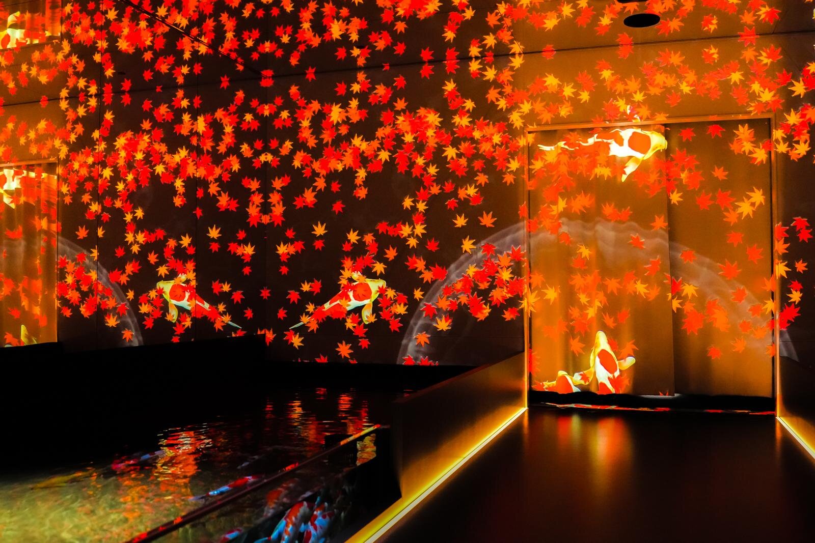 「広島もとまち水族館」空間演出による没入型アクアリウム、神秘のクラゲ水槽やチンアナゴスイーツ｜写真1