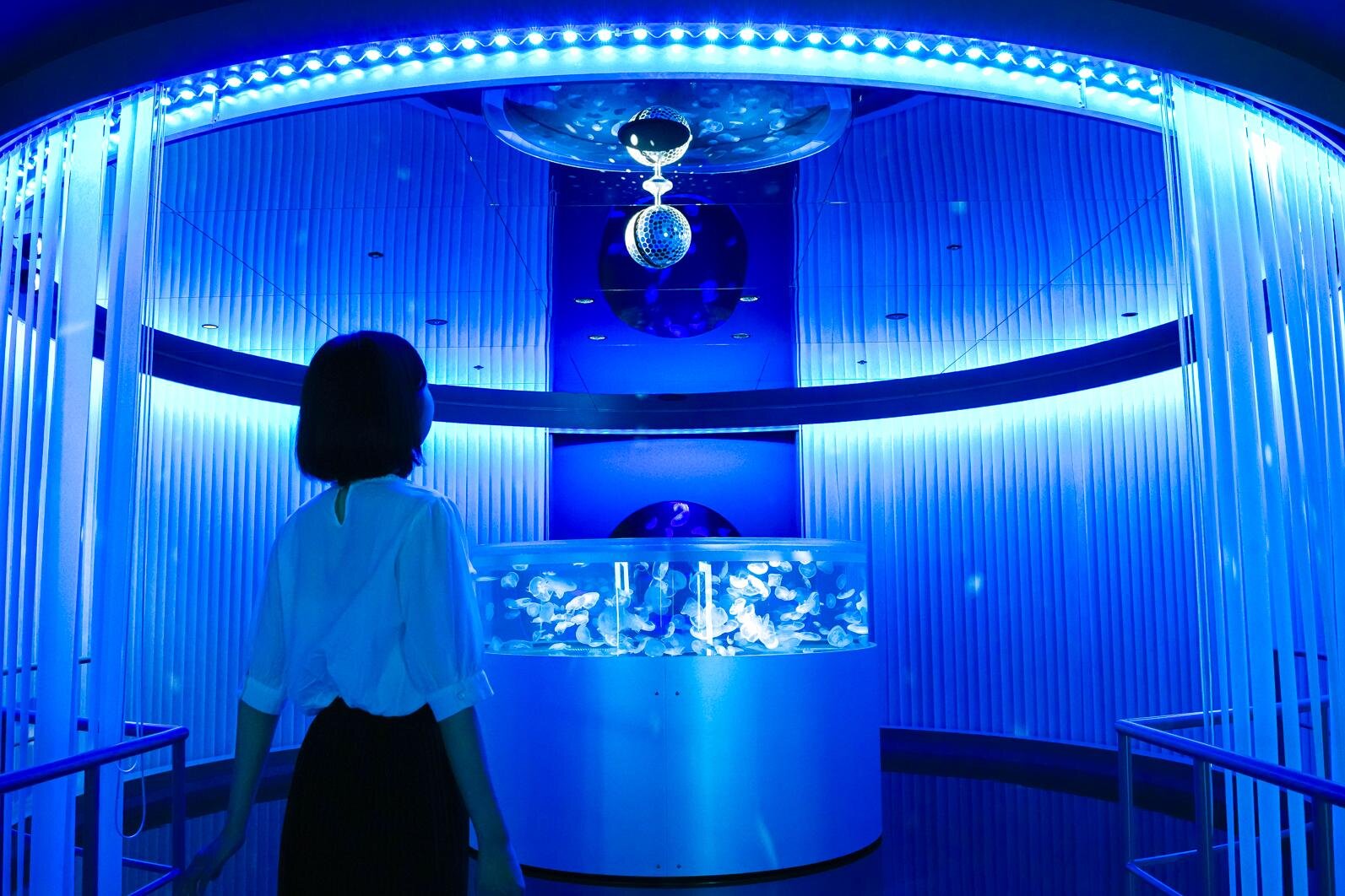 クラゲ｜「広島もとまち水族館」空間演出による没入型アクアリウム、神秘のクラゲ水槽やチンアナゴスイーツ