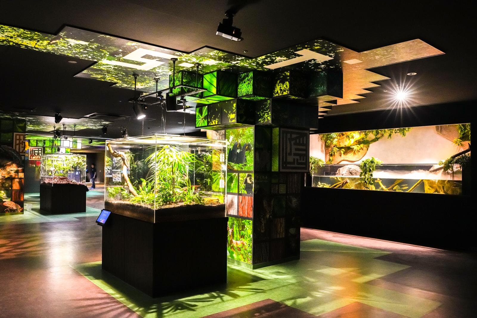 「広島もとまち水族館」空間演出による没入型アクアリウム、神秘のクラゲ水槽やチンアナゴスイーツ｜写真9