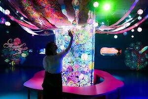 「広島もとまち水族館」空間演出による没入型アクアリウム、神秘のクラゲ水槽やチンアナゴスイーツ｜写真45