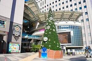 「広島もとまち水族館」空間演出による没入型アクアリウム、神秘のクラゲ水槽やチンアナゴスイーツ｜写真68