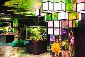 「広島もとまち水族館」空間演出による没入型アクアリウム、神秘のクラゲ水槽やチンアナゴスイーツ｜写真12