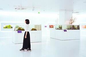 「広島もとまち水族館」空間演出による没入型アクアリウム、神秘のクラゲ水槽やチンアナゴスイーツ｜写真28