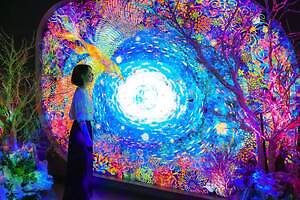 「広島もとまち水族館」空間演出による没入型アクアリウム、神秘のクラゲ水槽やチンアナゴスイーツ｜写真43